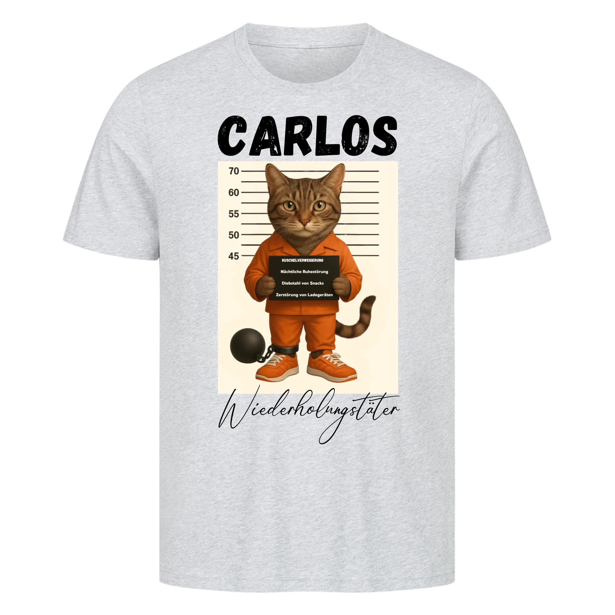 Mugshot - Wiederholungstäter