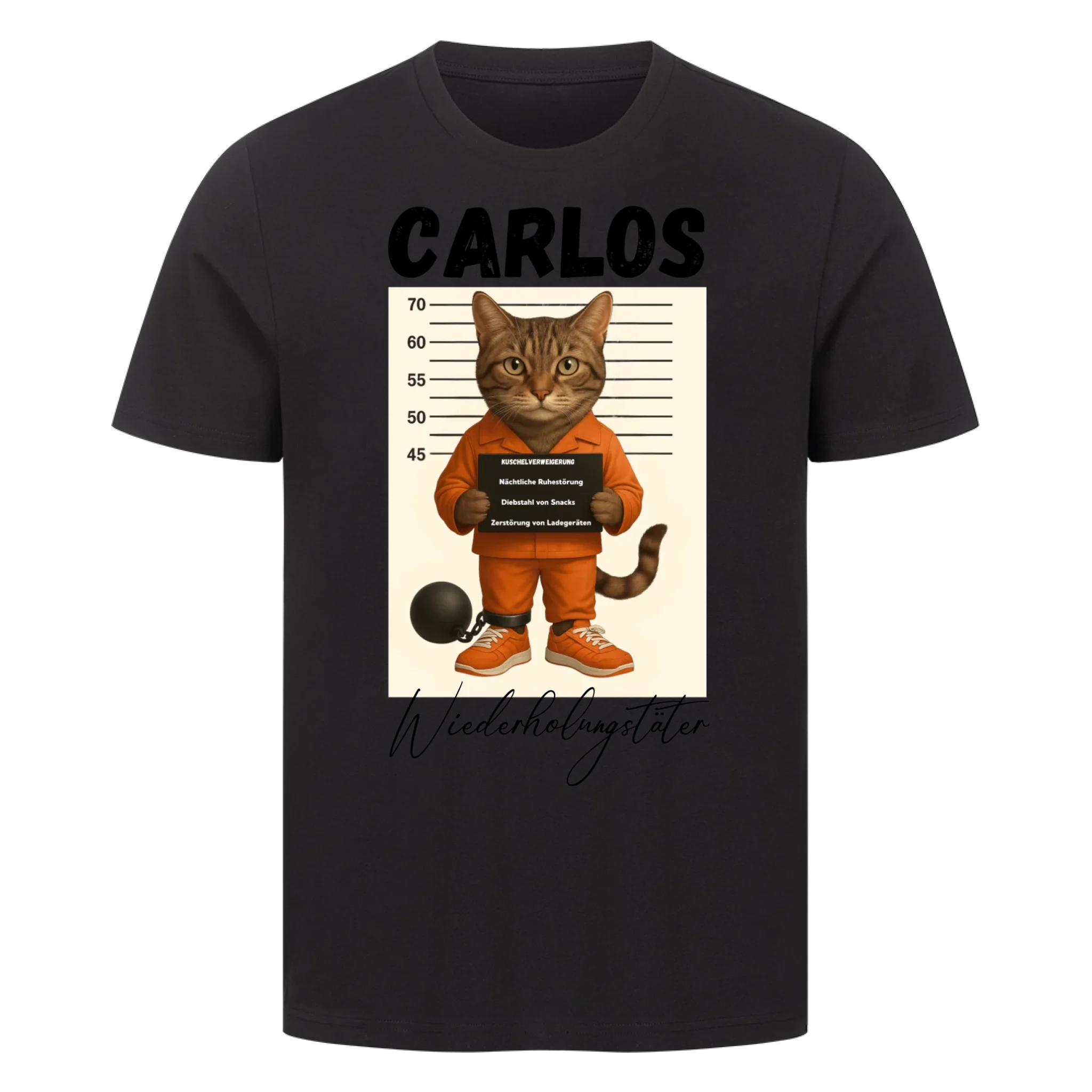 Mugshot - Wiederholungstäter