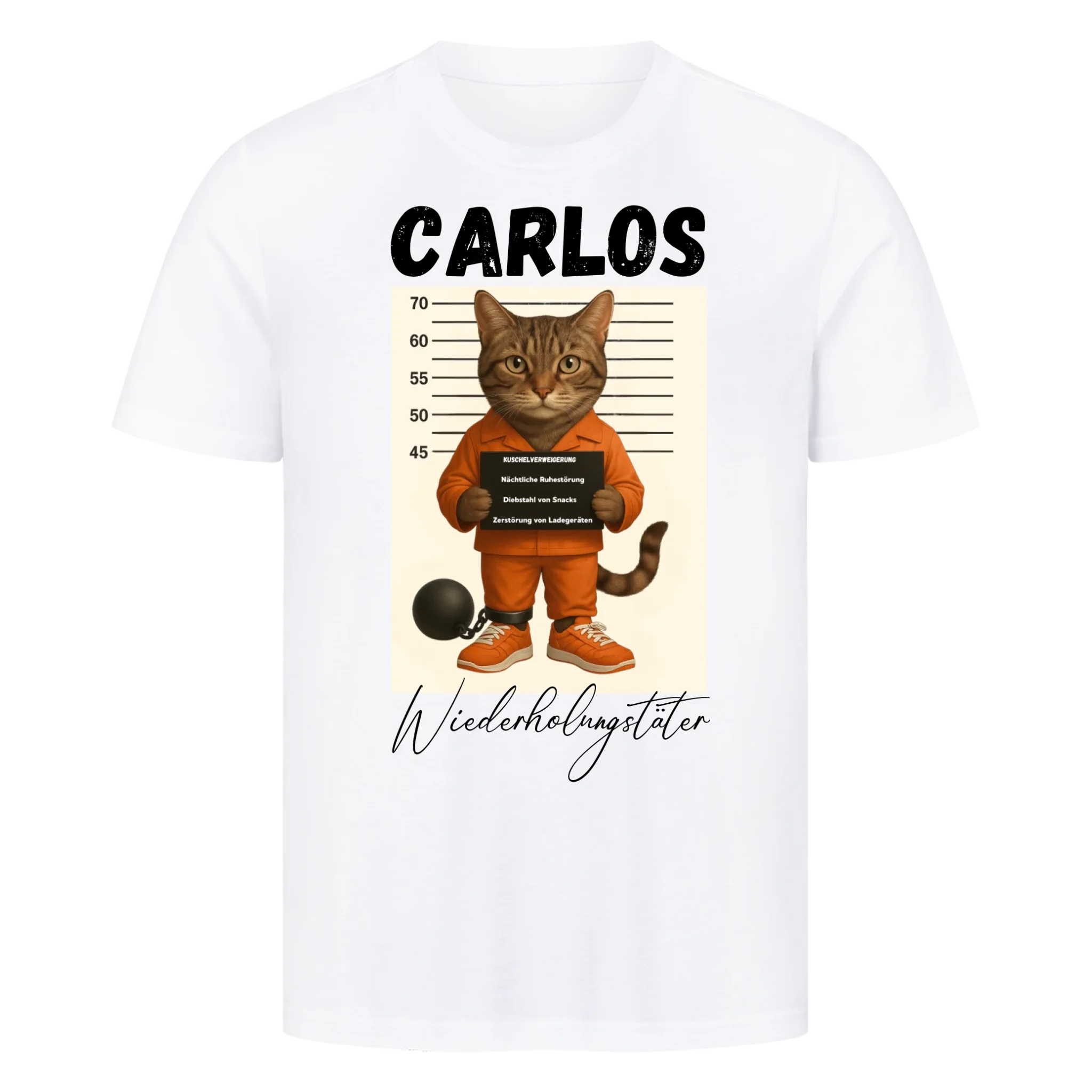 Mugshot - Wiederholungstäter