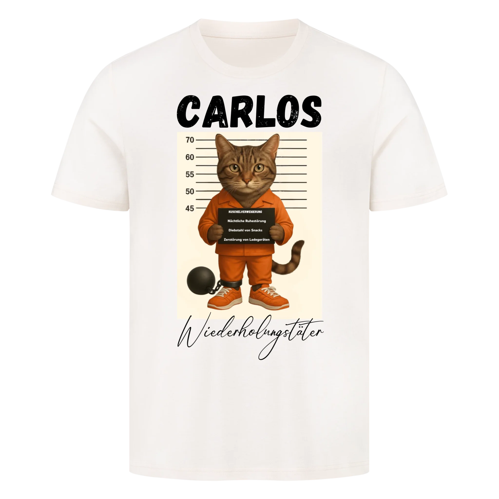 Mugshot - Wiederholungstäter