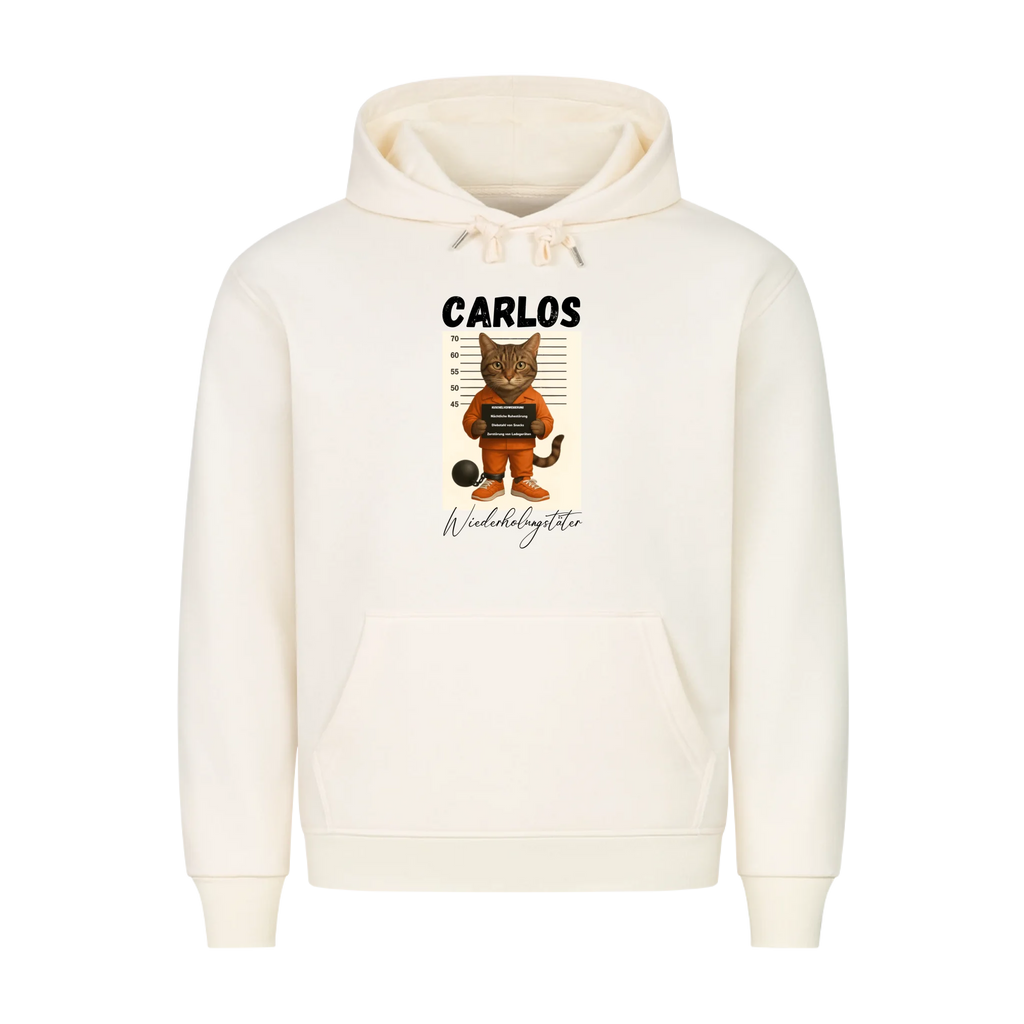 Hoodie Wiederholungstäter