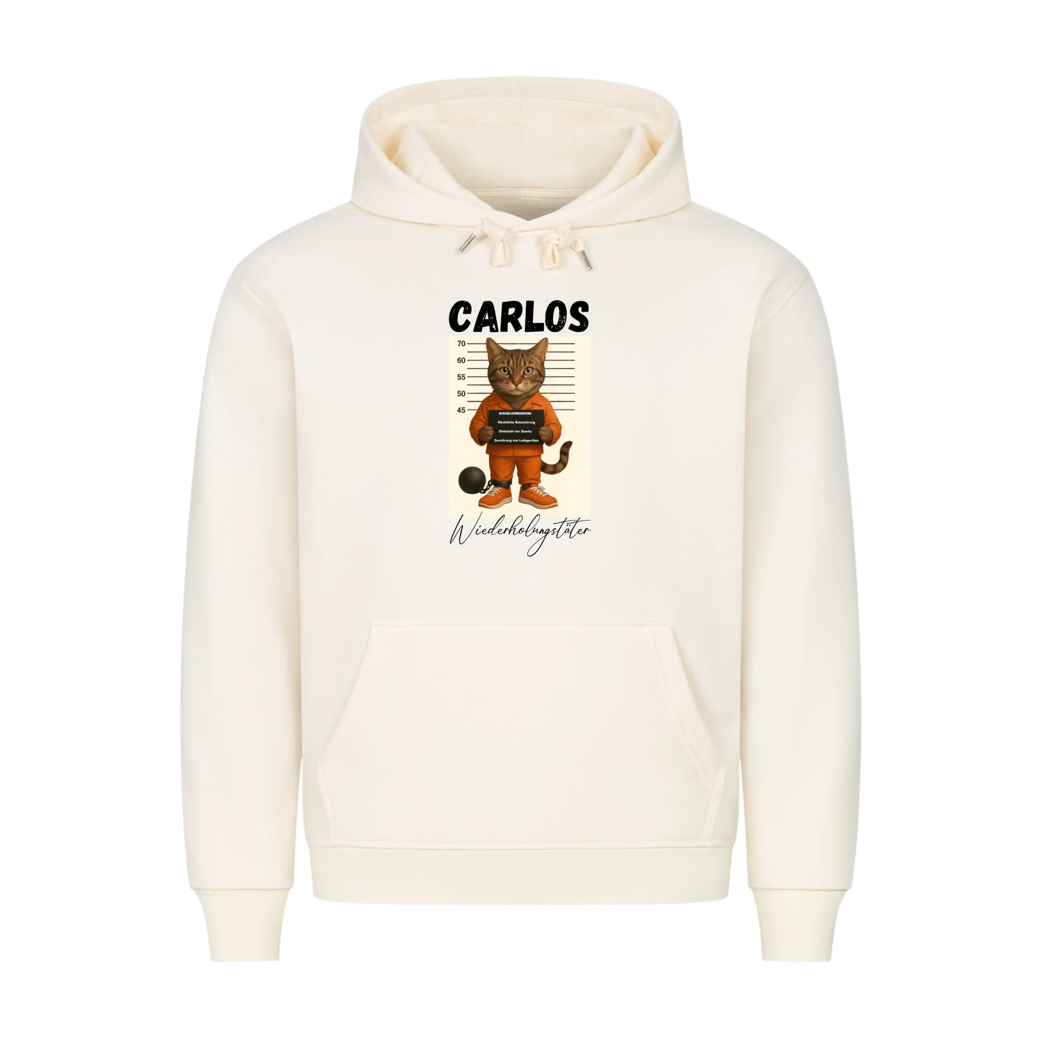 Hoodie Wiederholungstäter